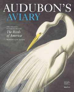Audubon's Aviary: The Original Watercolors for The Birds of America